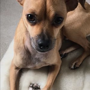 Meet your Posher, Chris